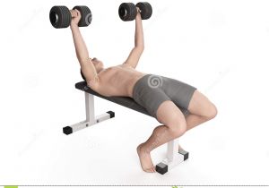 Bench Press Set with Weights Bench Press Stock Illustration Illustration Of Dumbbell 57003311