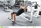 Bench Press Set with Weights Gym Training Stock Image Image Of Press Bench Fitness 17801029