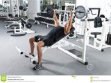 Bench Press Set with Weights Gym Training Stock Image Image Of Press Bench Fitness 17801029