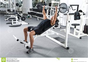 Bench Press Set with Weights Gym Training Stock Image Image Of Press Bench Fitness 17801029