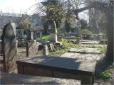 Benches for Cemetery Donnybrook Cemetery Wikipedia