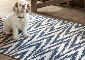 Best area Rugs for Dogs area Rugs Hildreth S Home Goods
