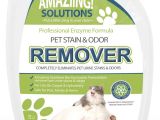 Best area Rugs for Dogs that Pee Amazon Com Amaziing solutions Pet Odor Eliminator and Stain Remover