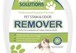 Best area Rugs for Dogs that Pee Amazon Com Amaziing solutions Pet Odor Eliminator and Stain Remover