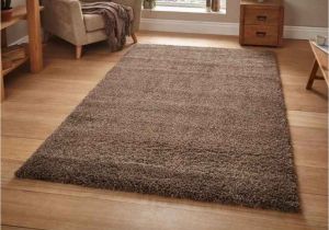 Best area Rugs Under 50 Full Room Rugs Beautiful A E A 24 Nice Best area Rugs for Living Room