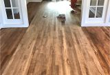 Best Brand Oil Based Polyurethane for Hardwood Floors Adventures In Staining My Red Oak Hardwood Floors Products Process