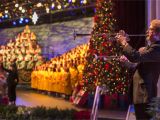 Best Christmas Decorations at Disney World Celebrate the Holidays at Disney World In 2017