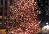 Best Christmas Decorations In Nyc 867 Best Holidays Christmas Lights Images On Pinterest Merry