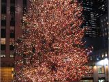 Best Christmas Decorations In Nyc 867 Best Holidays Christmas Lights Images On Pinterest Merry