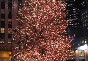 Best Christmas Decorations In Nyc 867 Best Holidays Christmas Lights Images On Pinterest Merry