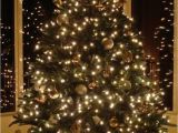 Best Christmas Lights Ever 20 Diy Outdoor Christmas Lights Tips Economyinnbeebe Com