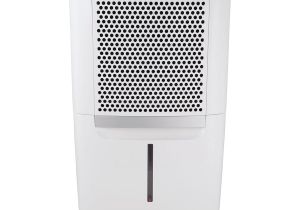 Best Dehumidifier for 2 Bedroom Flat Shop Dehumidifiers at Lowes Com