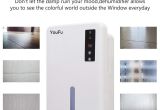 Best Dehumidifier for 2 Bedroom House Amazon Com Dehumidifier 1500ml Tank Powerful thermo Electric
