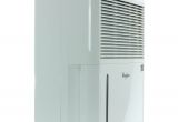 Best Dehumidifier for 2 Bedroom House Shop Whirlpool Whad501aw Energy Star 50 Pint Portable Room