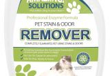 Best Floor Rugs for Dogs Amazon Com Amaziing solutions Pet Odor Eliminator and Stain Remover