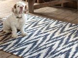 Best Floor Rugs for Dogs area Rugs Hildreth S Home Goods