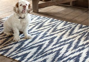 Best Floor Rugs for Dogs area Rugs Hildreth S Home Goods