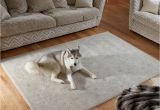 Best Floor Rugs for Dogs Rug Care Guide How to Look after Your Rug the Rug Seller