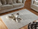 Best Floor Rugs for Dogs Rug Care Guide How to Look after Your Rug the Rug Seller