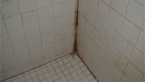 Best Grout for Shower Floor Grouting Ceiling Tile Left Handsintl Co