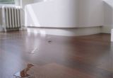 Best Hardwood Floor Cleaner Machine Hardwood Flooring for Bathrooms What to Consider