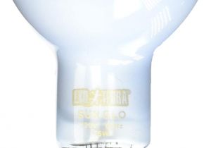 Best Heat Lamp for Dogs Amazon Com Exo Terra Sun Glo Basking Spot Lamp 75 Watt 120 Volt