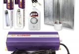 Best Hps Grow Lights Amazon Com Apollo Horticulture Glk400ctac 400 Watt Grow Light
