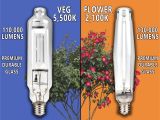 Best Hps Grow Lights Yield Lab 1000w Hps Mh Cool Tube Hood Reflector Grow Light Kit