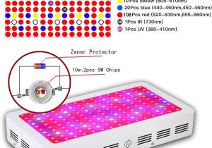 Best Led Grow Light for the Money 1500w Led Grow Lights Recommeded High Cost Effective Double Chips