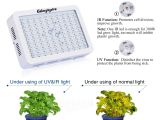 Best Led Grow Light for the Money Amazon Com Roleadro Led Grow Light Galaxyhydro Series 300w Indoor