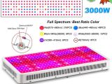 Best Led Grow Light for the Money Jiernuo 3000w Led Grow Light Full Spectrum Double Chips Plant Grow