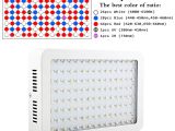 Best Led Grow Light for the Money Marswell Led Grow Lights Kit 1200w Double Chips Full Specturm 5