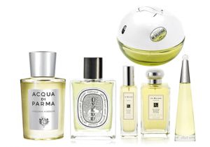 Best Light Smelling Perfumes How to Find Your Perfect Perfume College Fashion