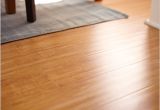 Best Natural Laminate Floor Cleaner Laminate Flooring Best Mop for Laminate Floors Keep On