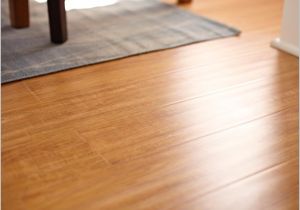 Best Natural Laminate Floor Cleaner Laminate Flooring Best Mop for Laminate Floors Keep On