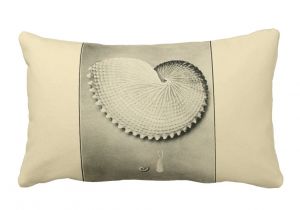 Best Place to Buy Decorative Bed Pillows Nz Shells Argonauta Nodosa Dolium Variegatum Lumbar Pillow A