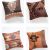 Best Place to Buy Decorative Pillows toronto 157 Best Omg Ocd Images On Pinterest Cushion Covers Pillow Case