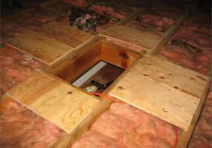 Best Plywood for Flooring attic Installing attic Insulation Mike Thomson