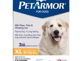 Best Rugs for Dogs that Chew Petarmor Flea Tick Prevention for Extra Large Dogs with Fipronil