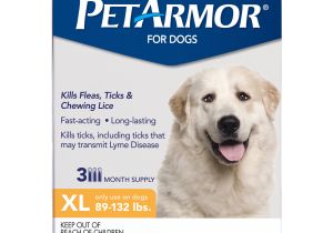 Best Rugs for Dogs that Chew Petarmor Flea Tick Prevention for Extra Large Dogs with Fipronil