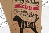 Best Rugs for Dogs Uk Personalised Best Dog Ever Birthday Card for Dogs by Well Bred