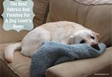 Best Rugs for Shedding Dogs the Best and Worst Fabrics and Finishes for A Dog Lover S Home