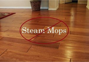Best Shark Steam Mop for Hardwood Floors How Do You Clean Laminate Hardwood Floors Podemosleganes
