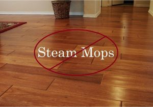 Best Steam Cleaner for Hardwood Floors Uk Can I Use Shark Steam Mop On Wood Laminate Floors Skill Floor Interior