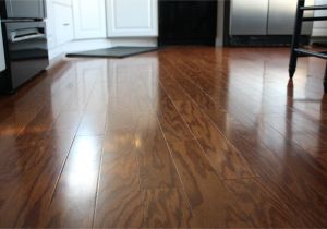 Best Steam Cleaner for Hardwood Floors Uk Wood Floor Cleaner Floor Plan Ideas