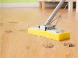 Best Type Of Mop to Clean Hardwood Floors 15 Charmant Microfiber Dust Mops for Hardwood Floors Ideas Blog