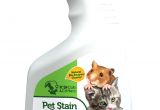 Best Type Of Rugs for Dogs Rug Doctor Walmart Reviews Best Of Pet Stain Carpet Cleaner Od