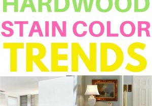 Best Vacuum for Carpet and Wood Floors 2017 Hardwood Flooring Stain Color Trends 2018 More From the Flooring