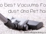 Best Vacuum for Hard Floors and Dog Hair 10 Best Vacuum for Pet Hair and Hardwood Floors Sensual