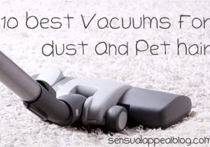 Best Vacuum for Hard Floors and Dog Hair 10 Best Vacuum for Pet Hair and Hardwood Floors Sensual
